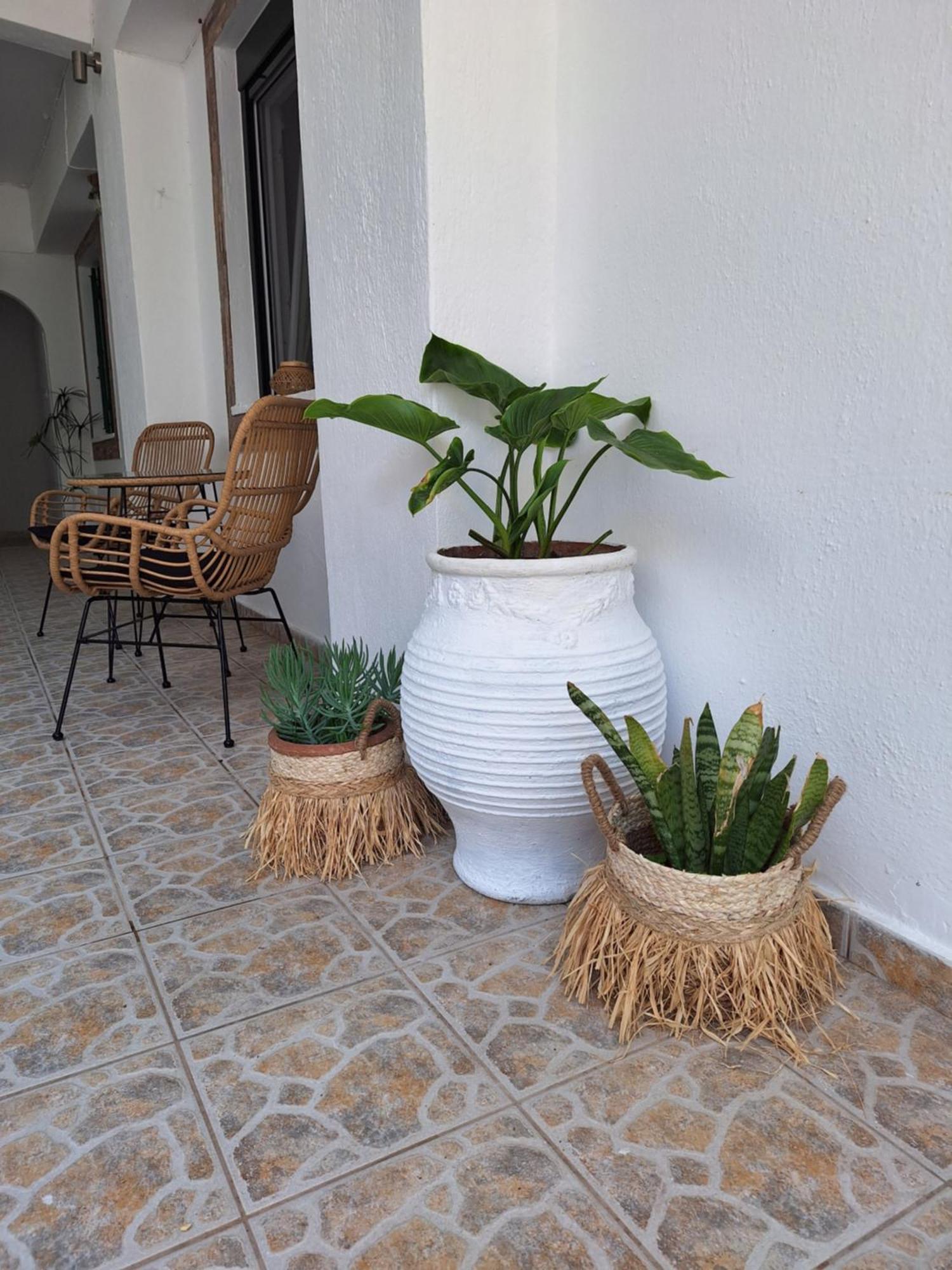 Vithos Apartment Agnontas Екстериор снимка